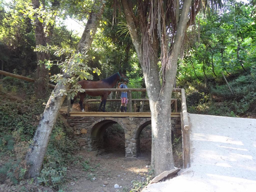 Quinta Das Escomoeiras 세로리코데바스토 외부 사진